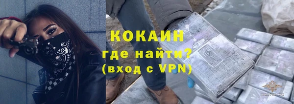 гидра Алексин