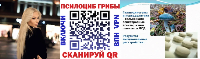 Псилоцибиновые грибы Psilocybe  закладка  Малаховка 